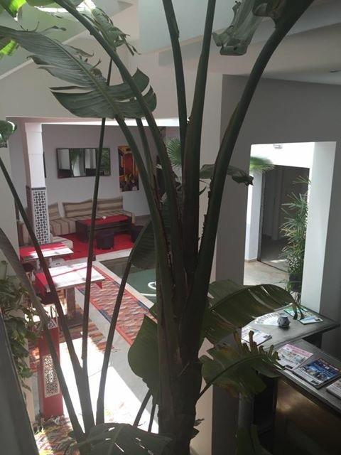 Riad Le Patio Romantique Marrakesh Exterior foto